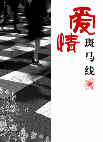 河北彩花种子品种大全2023年